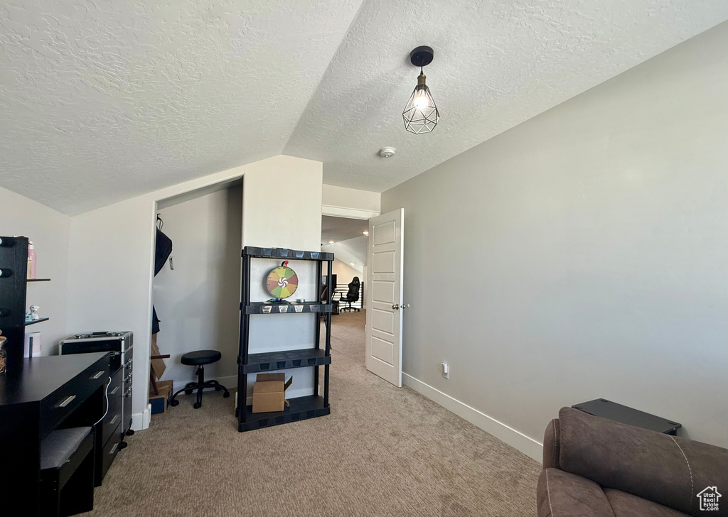 Carpeted office space with a textured ceiling and lofted ceiling