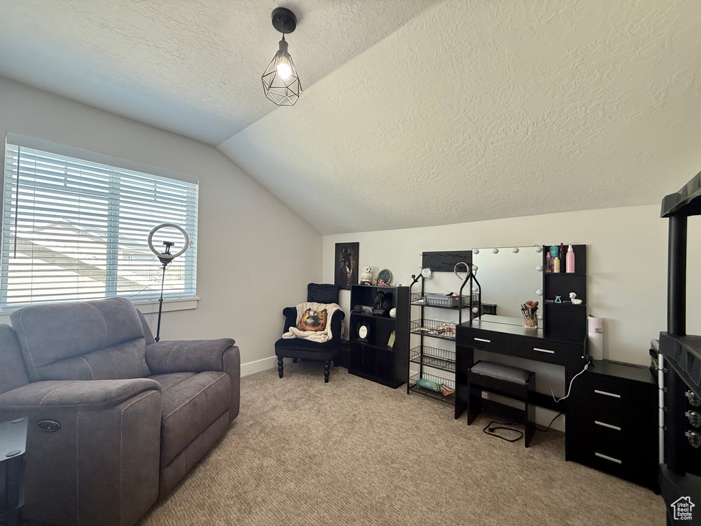 Office with a textured ceiling, lofted ceiling, and carpet flooring
