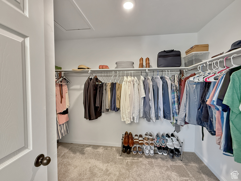 Walk in closet featuring carpet floors and attic access