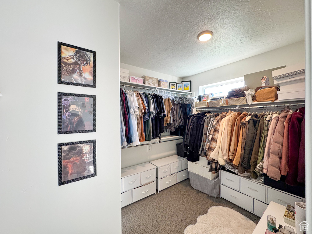 Spacious closet with carpet flooring