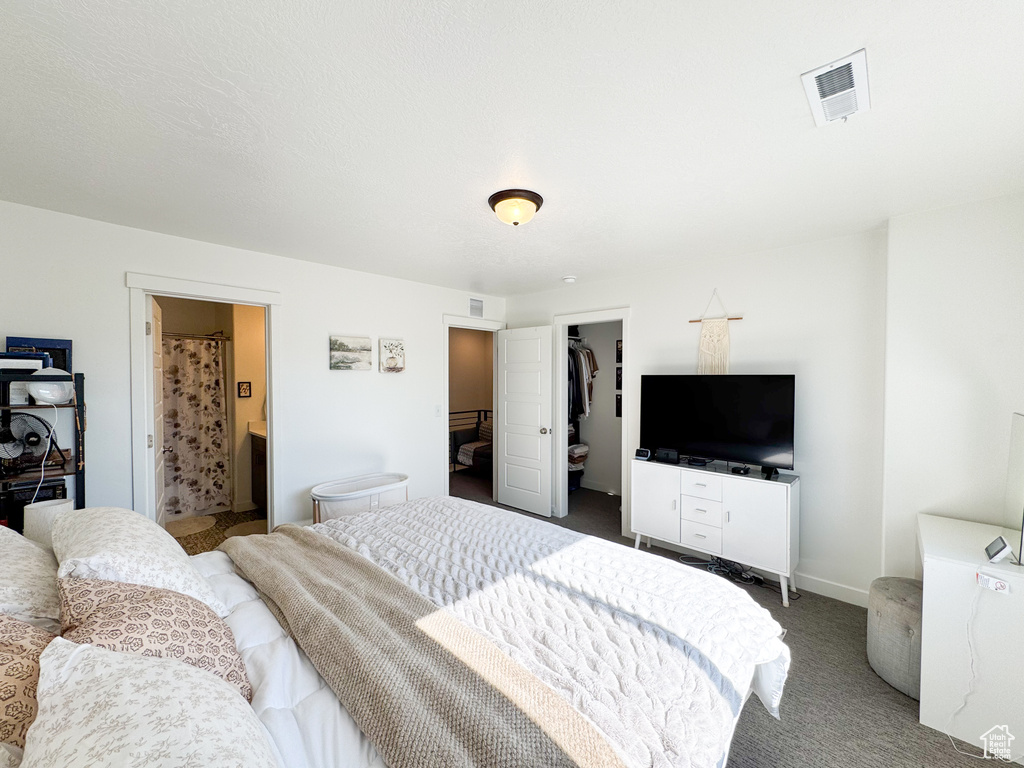 Bedroom featuring carpet floors, a spacious closet, and connected bathroom