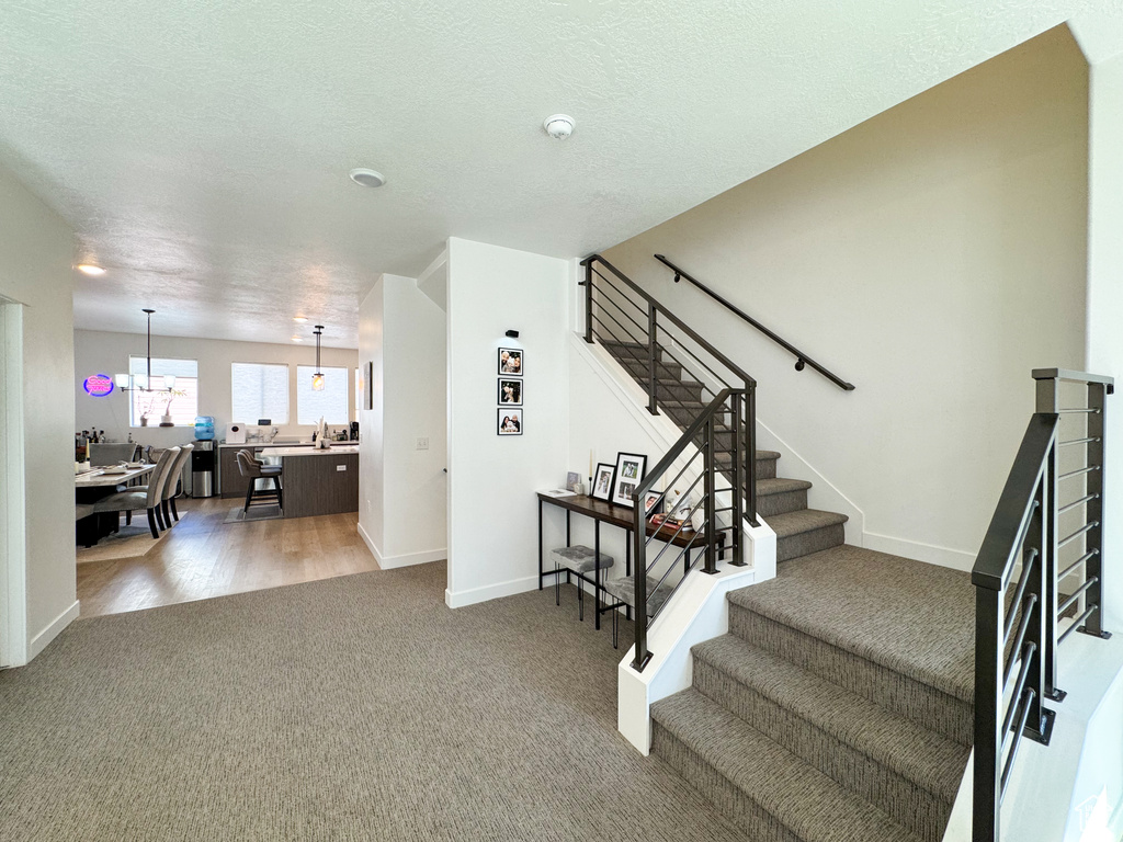Stairway with carpet flooring and wood finished floors