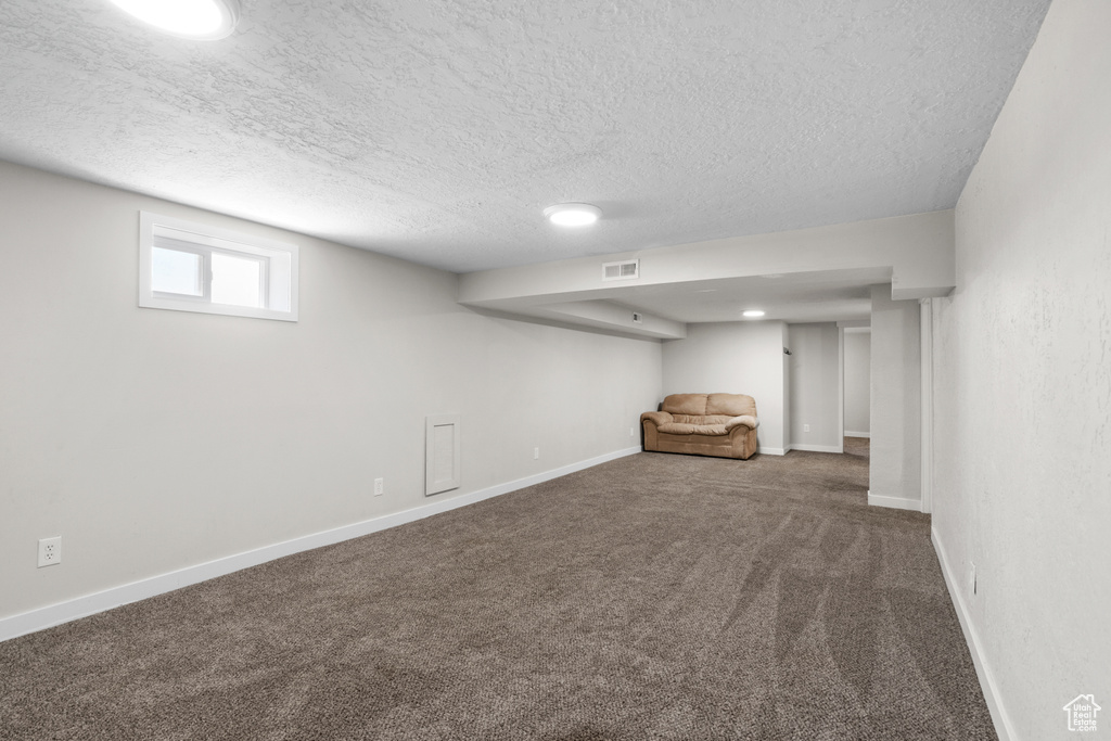 Below grade area with carpet floors and a textured ceiling