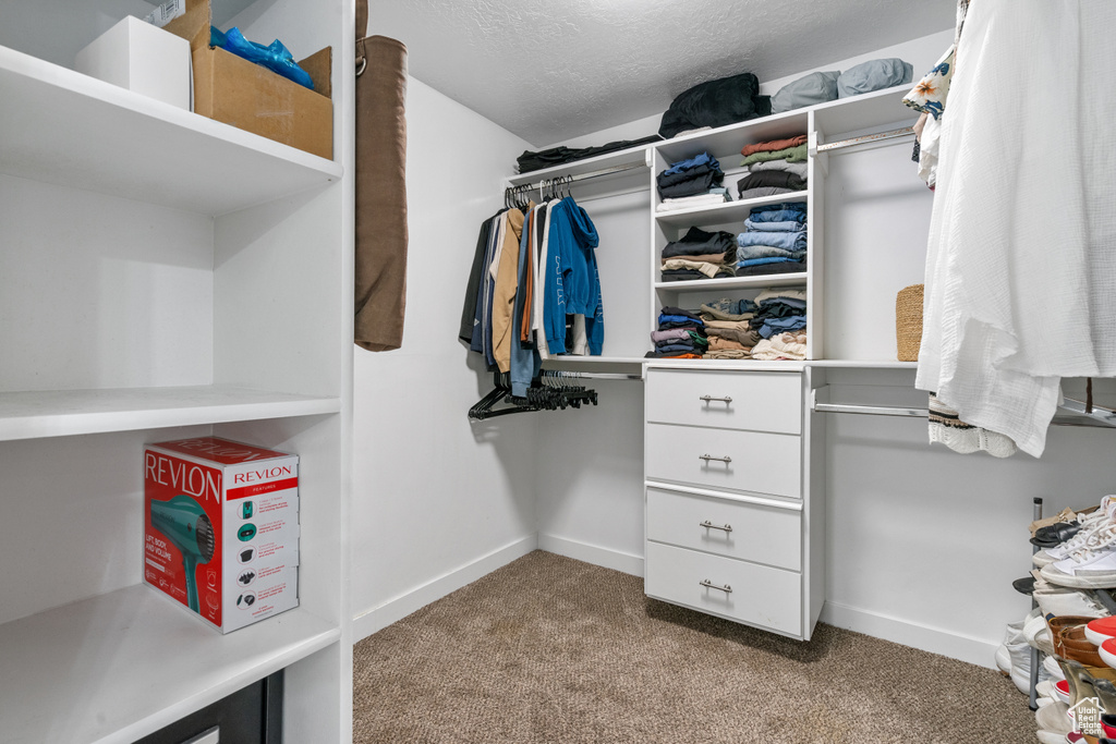 Walk in closet featuring carpet