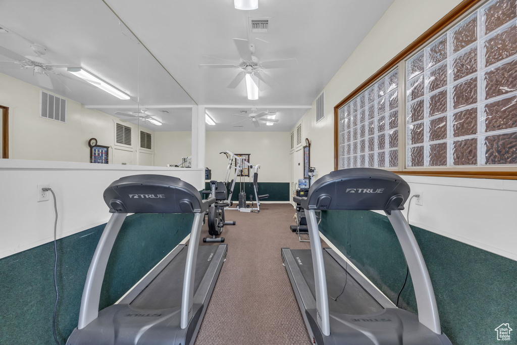 Exercise room featuring ceiling fan and carpet
