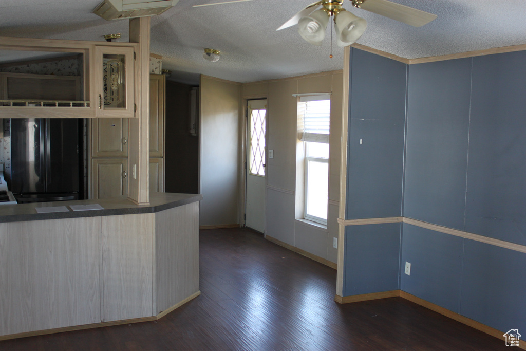 Kitchen with freestanding refrigerator, ceiling fan, a textured ceiling, plenty of natural light, and dark wood-style floors