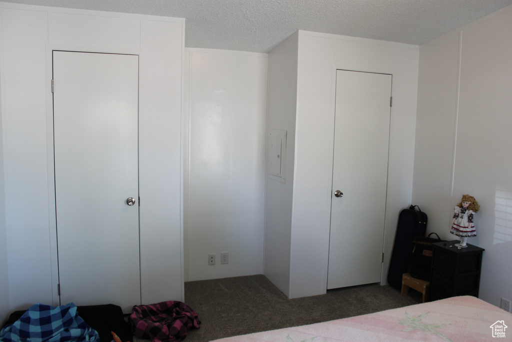 Bedroom featuring carpet and a textured ceiling