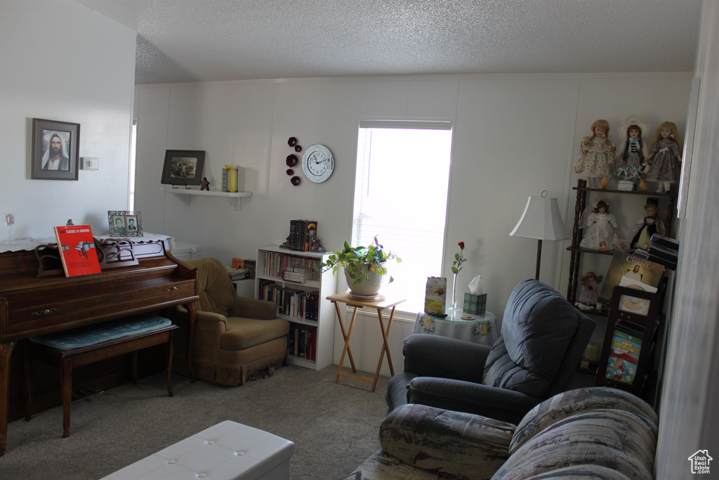 Living area featuring carpet flooring and a textured ceiling