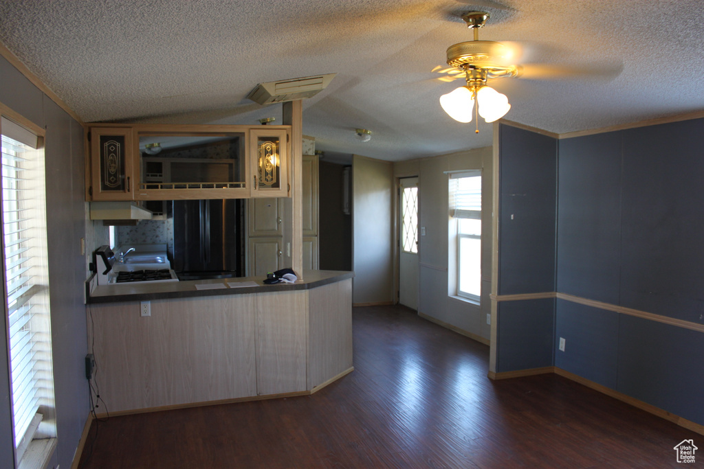 Kitchen featuring a textured ceiling, ceiling fan, a peninsula, dark wood finished floors, and under cabinet range hood
