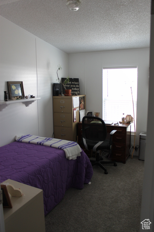 Carpeted bedroom featuring a textured ceiling and an office area