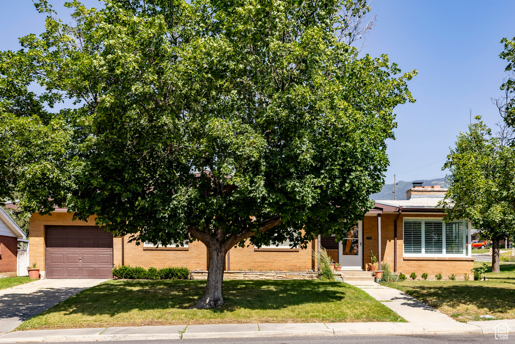 Obstructed view of property featuring brick siding, concrete driveway, a front yard, and a garage