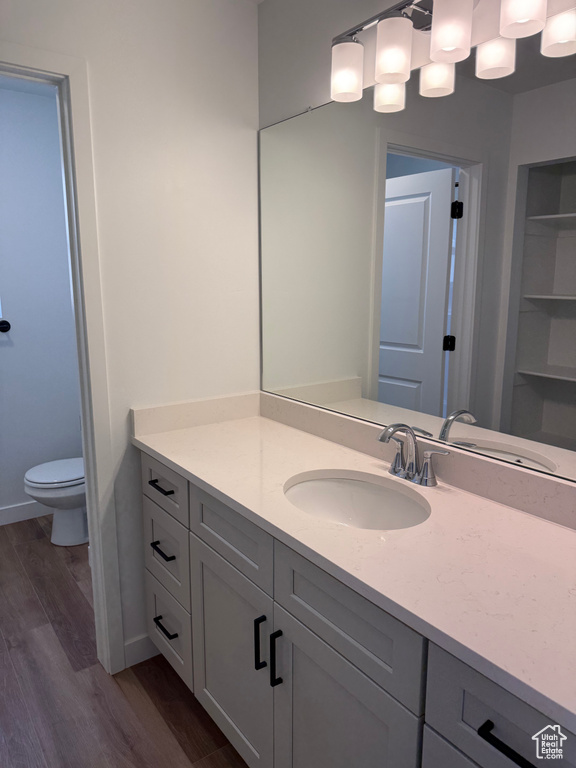 Bathroom with wood finished floors and vanity