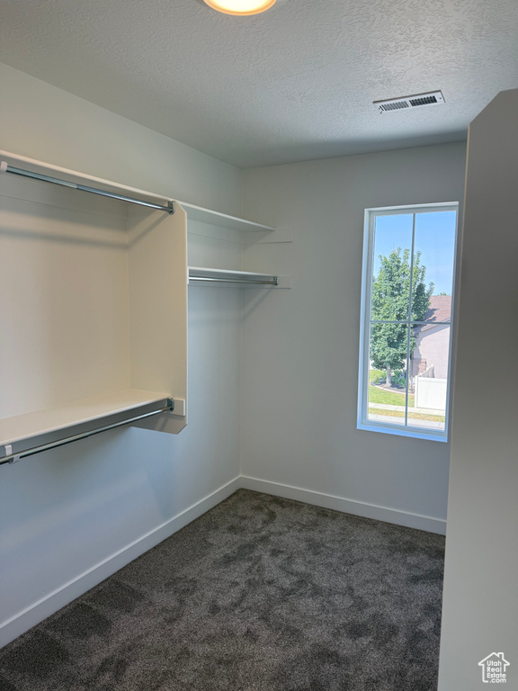Walk in closet featuring dark colored carpet