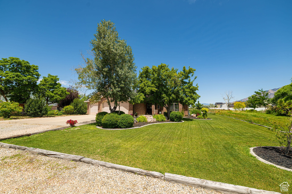 View of front of home featuring driveway, a front lawn, and a garage