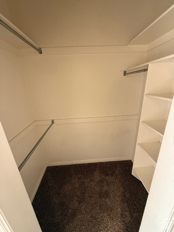 Spacious closet featuring carpet floors
