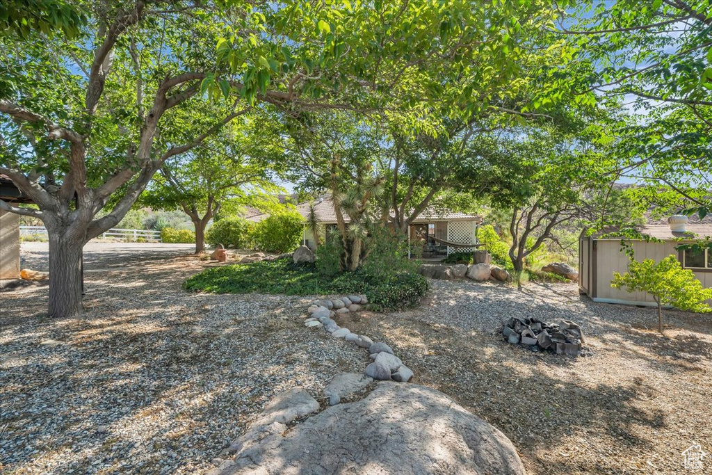 View of yard