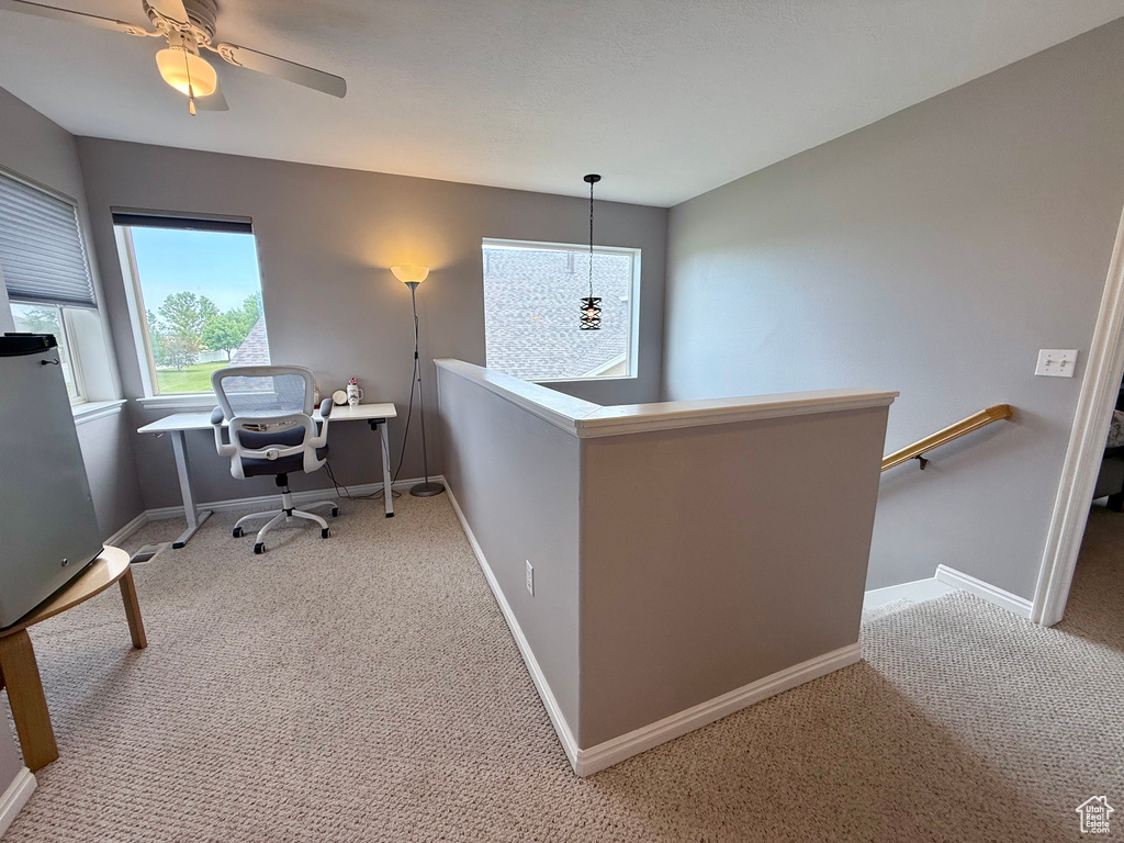 Carpeted home office with baseboards
