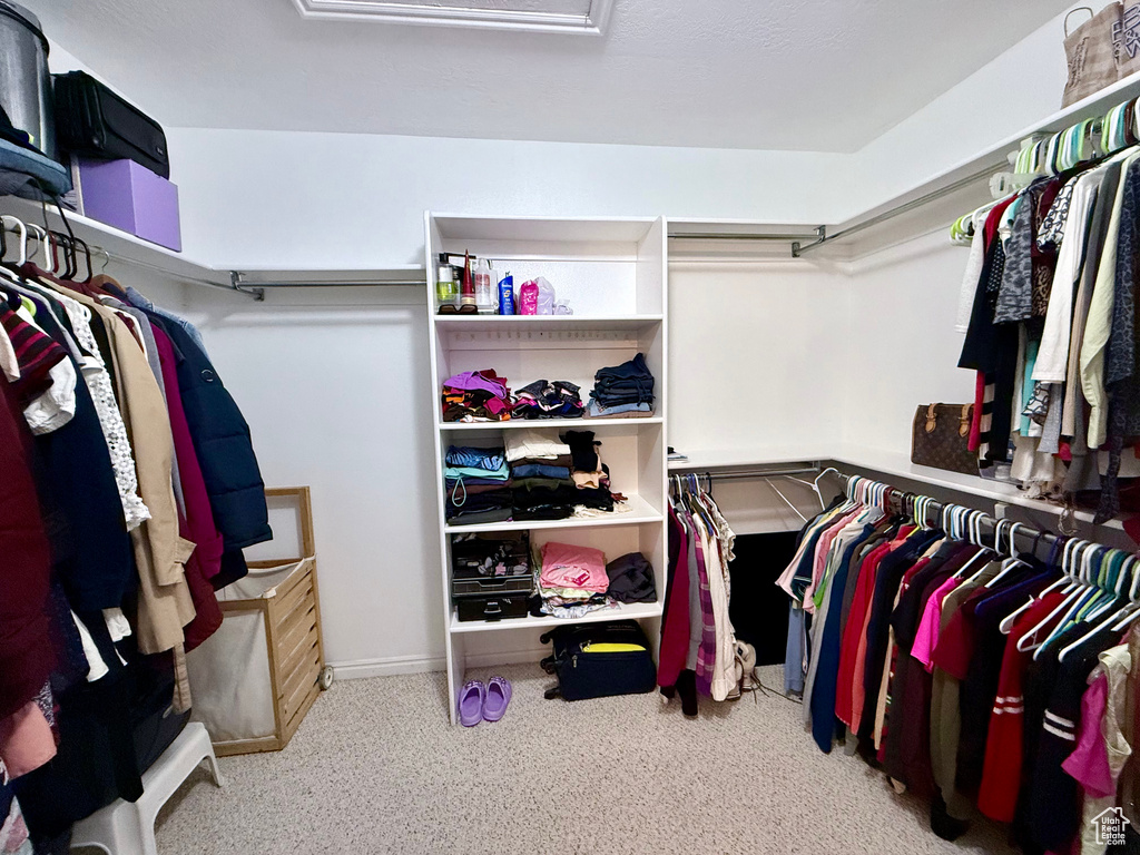 Walk in closet with carpet floors and attic access