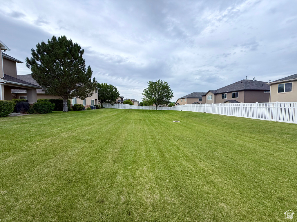 View of yard featuring a residential view