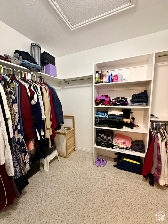 Spacious closet featuring attic access and carpet flooring