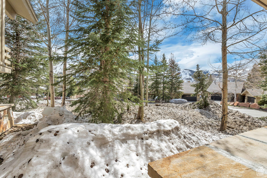 7525 RIDGE DR #19 Park City, UT 84060