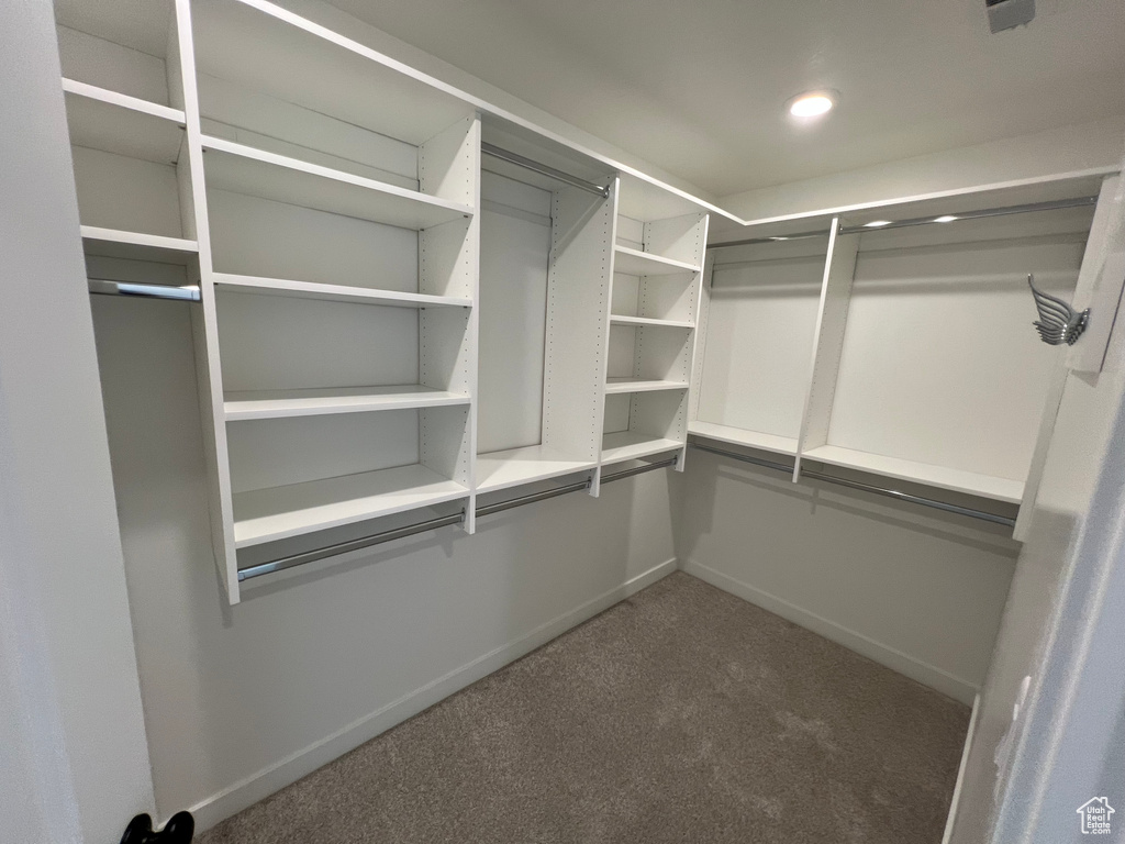 Walk in closet with carpet