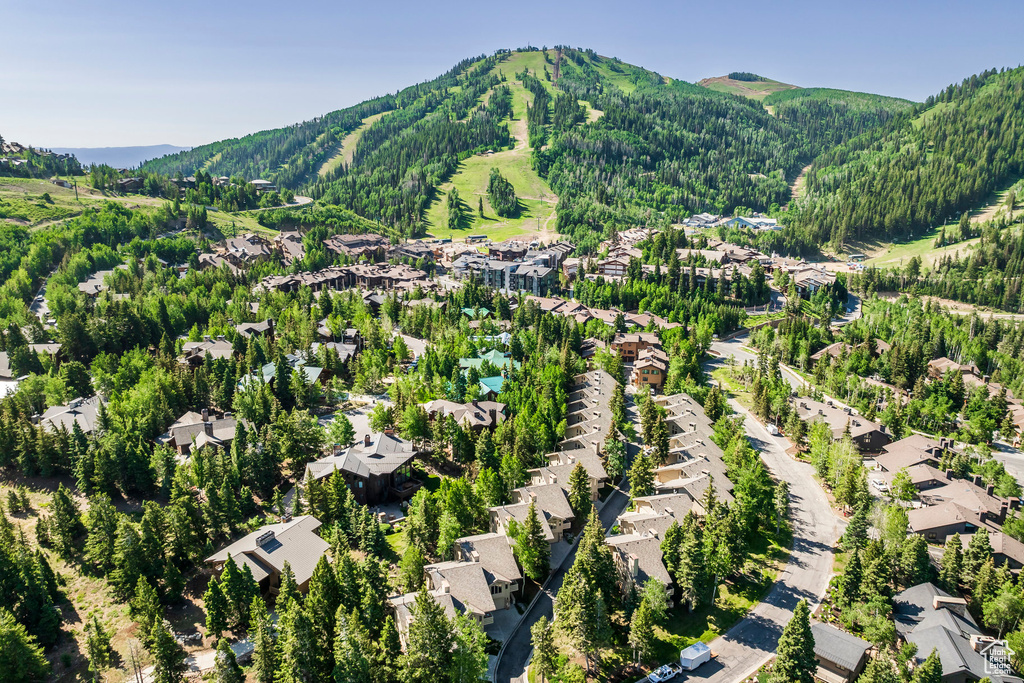 Aerial view of residential area with a mountain backdrop and a forest