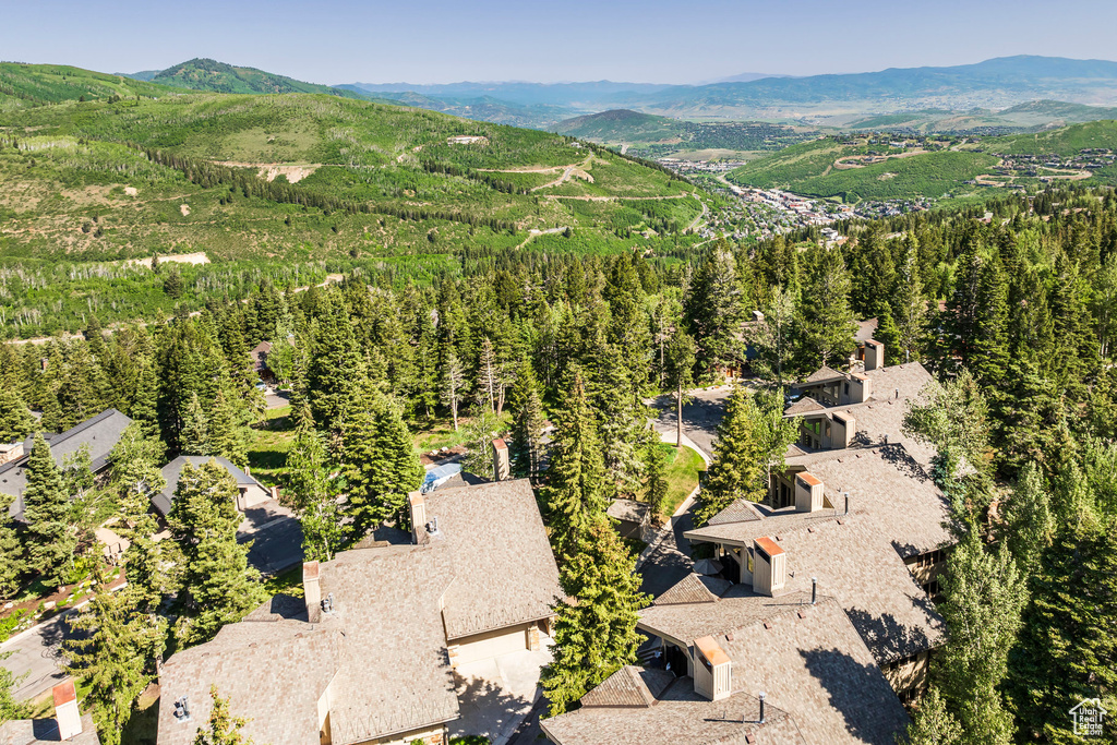 Drone / aerial view of a mountainous background