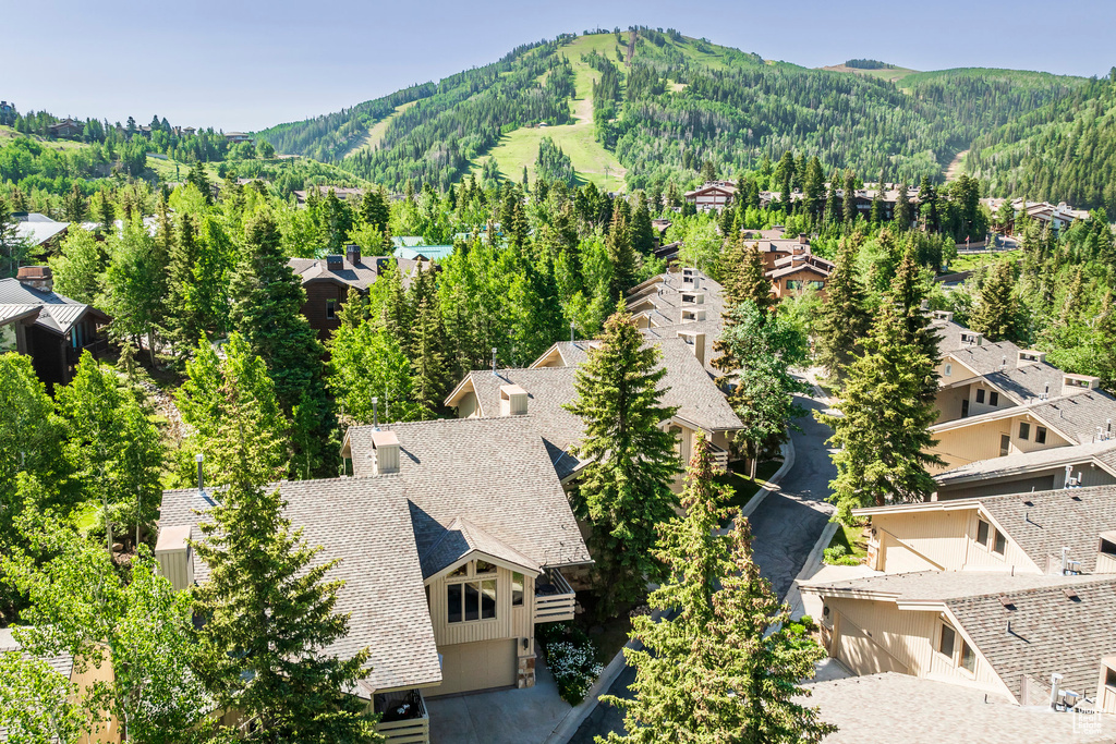 Bird's eye view of mountains and a forest