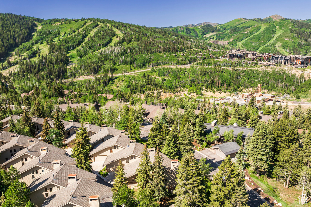 Aerial perspective of suburban area with a mountain backdrop and a forest