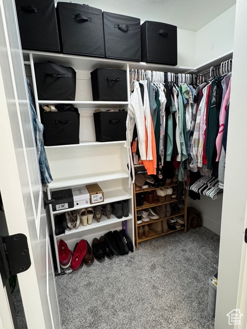 Walk in closet with carpet