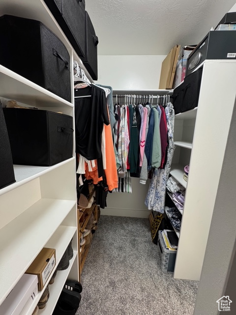 Walk in closet featuring carpet flooring