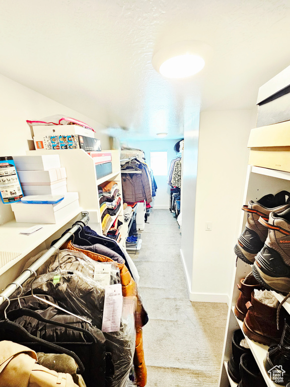 Spacious closet featuring carpet floors