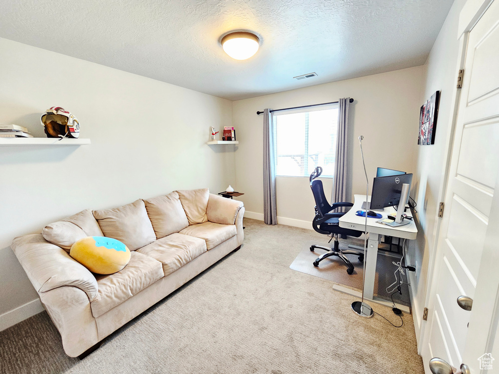 Office with light colored carpet and a textured ceiling