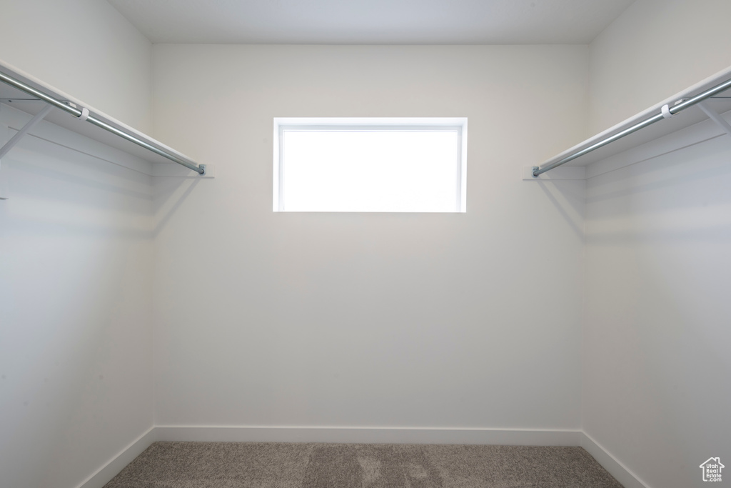 Spacious closet featuring carpet floors