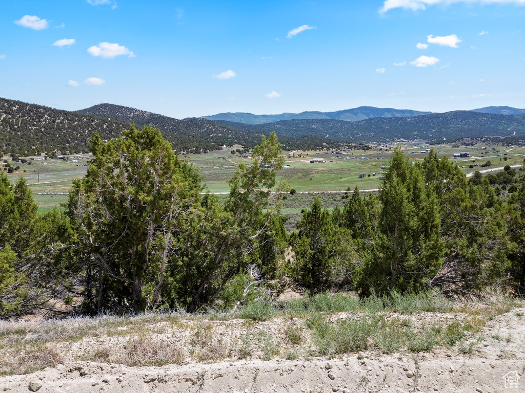 View of mountain background