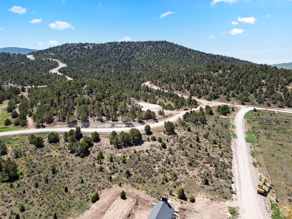 Bird's eye view of a forest and a mountain backdrop
