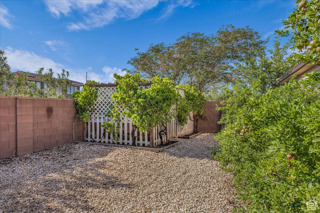 View of fenced backyard