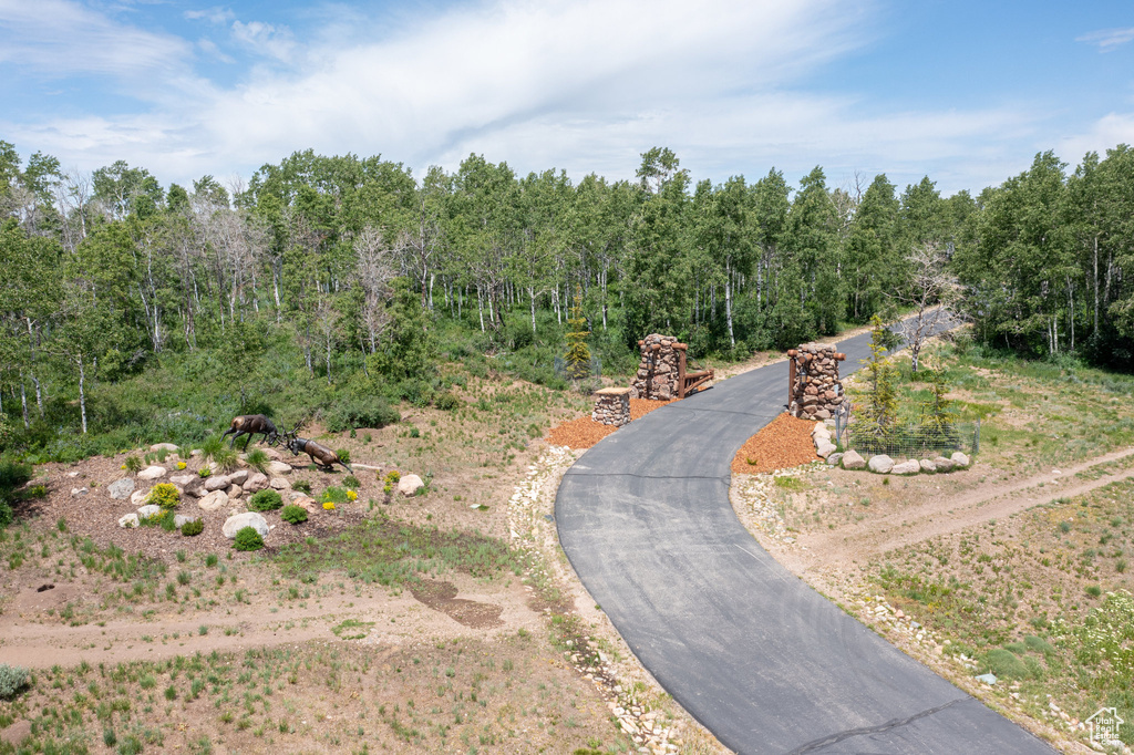 Drone / aerial view of a heavily wooded area