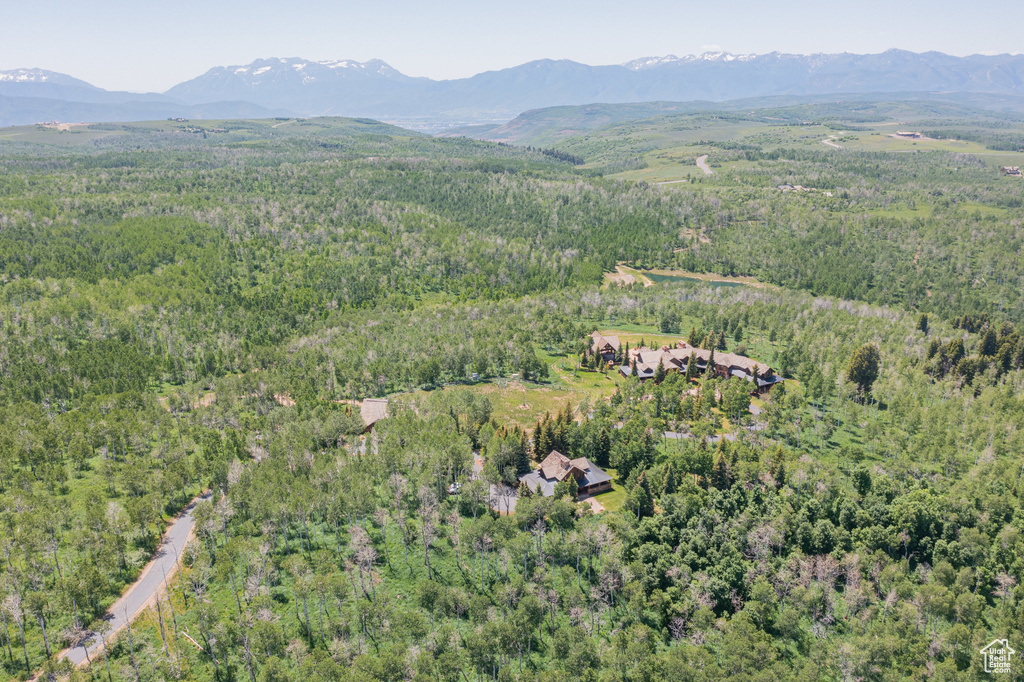 Aerial view of property and surrounding area with a heavily wooded area and a mountainous background