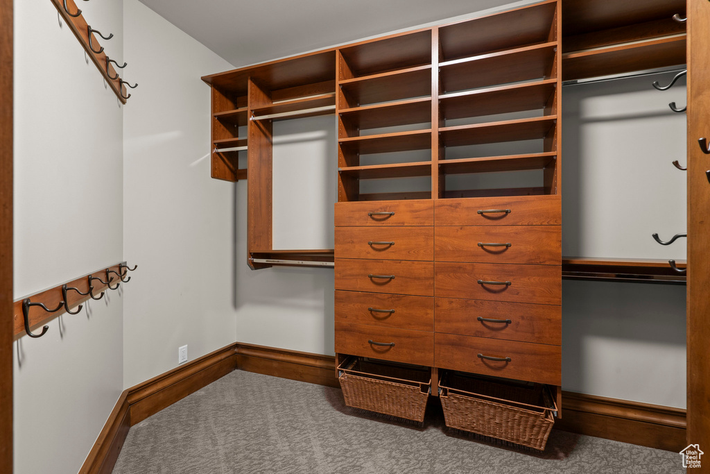 Walk in closet with carpet floors