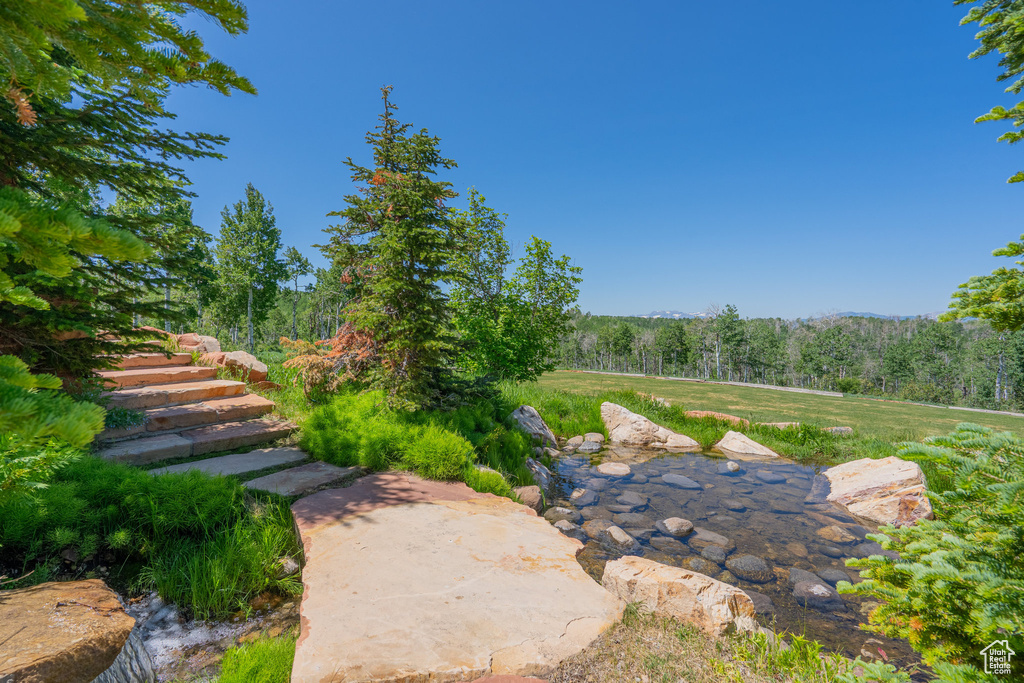 View of yard with a view of trees and a mountain view