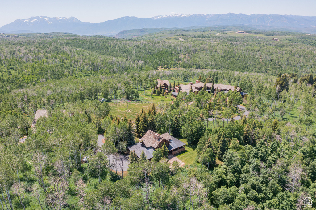 Aerial view of a forest and a mountain backdrop