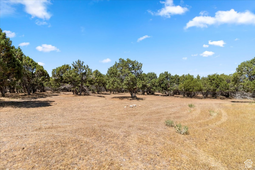 View of local wilderness featuring rural landscape