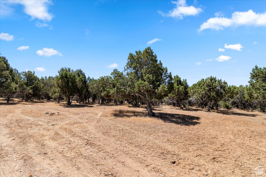 View of undeveloped land with rural landscape