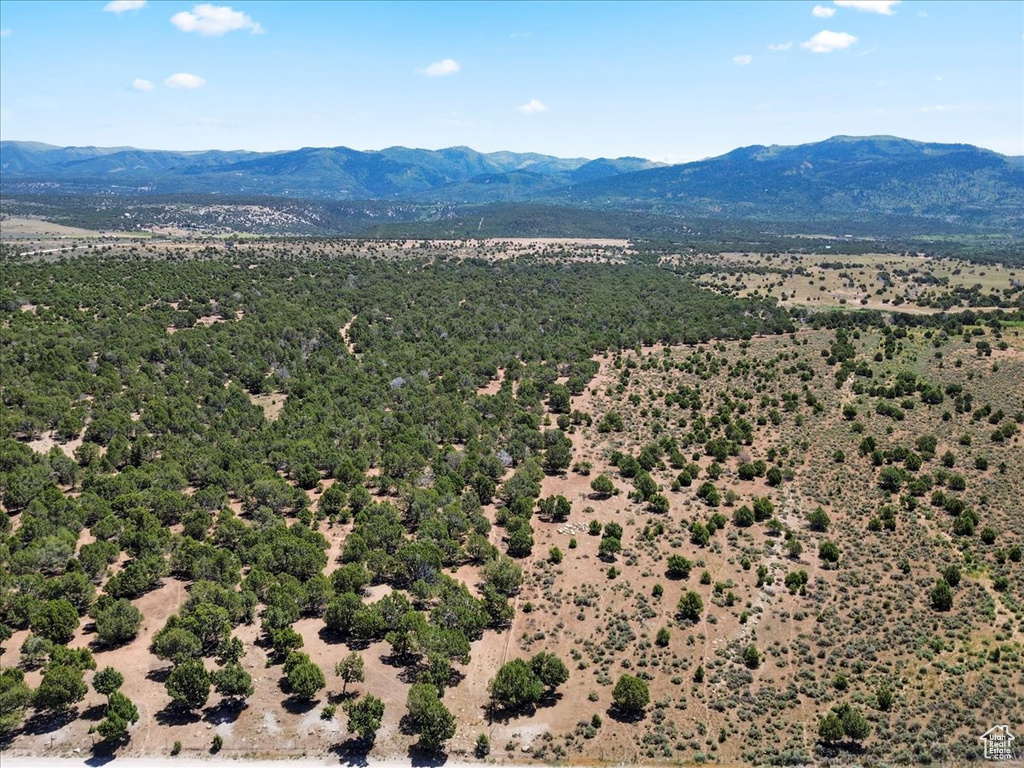View of mountain background