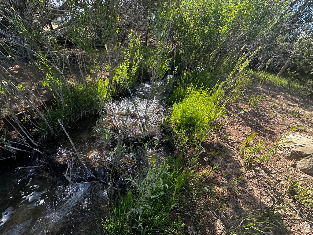 View of undeveloped land