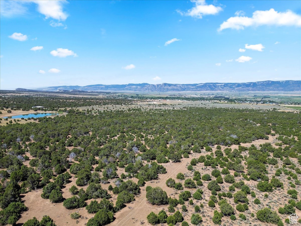 Bird\'s eye view of a water and mountain view
