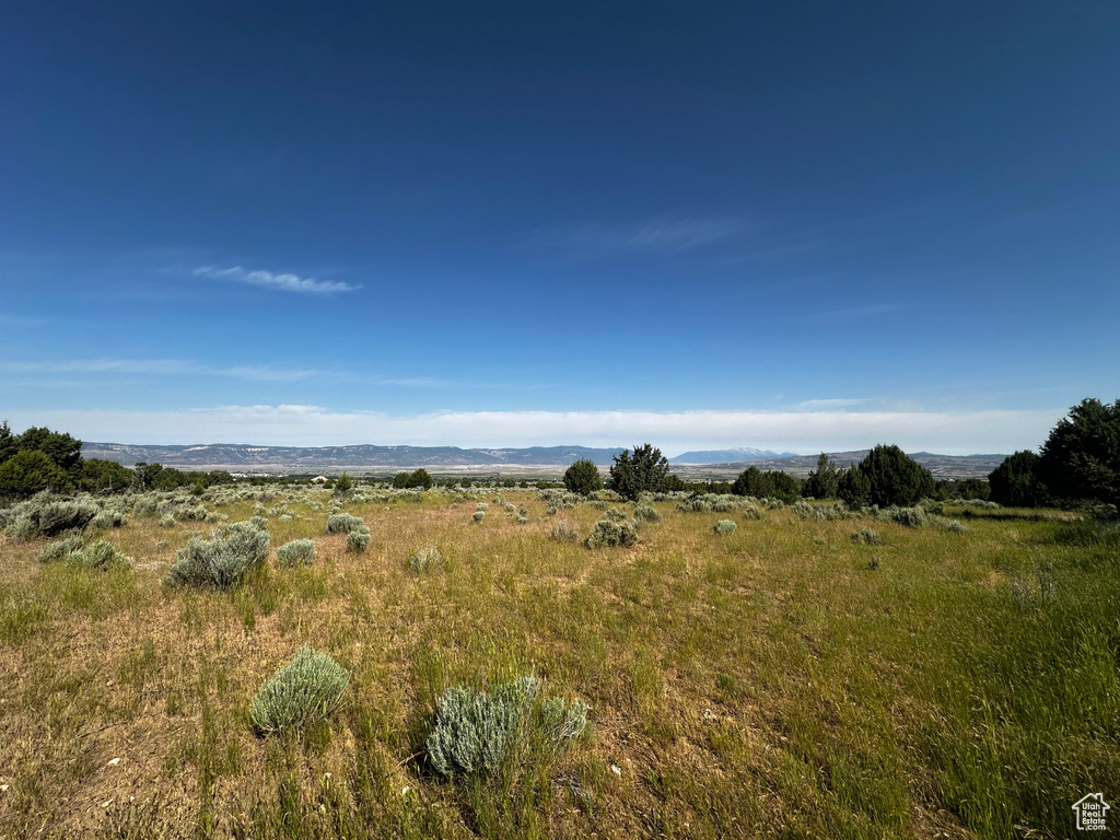 View of nature