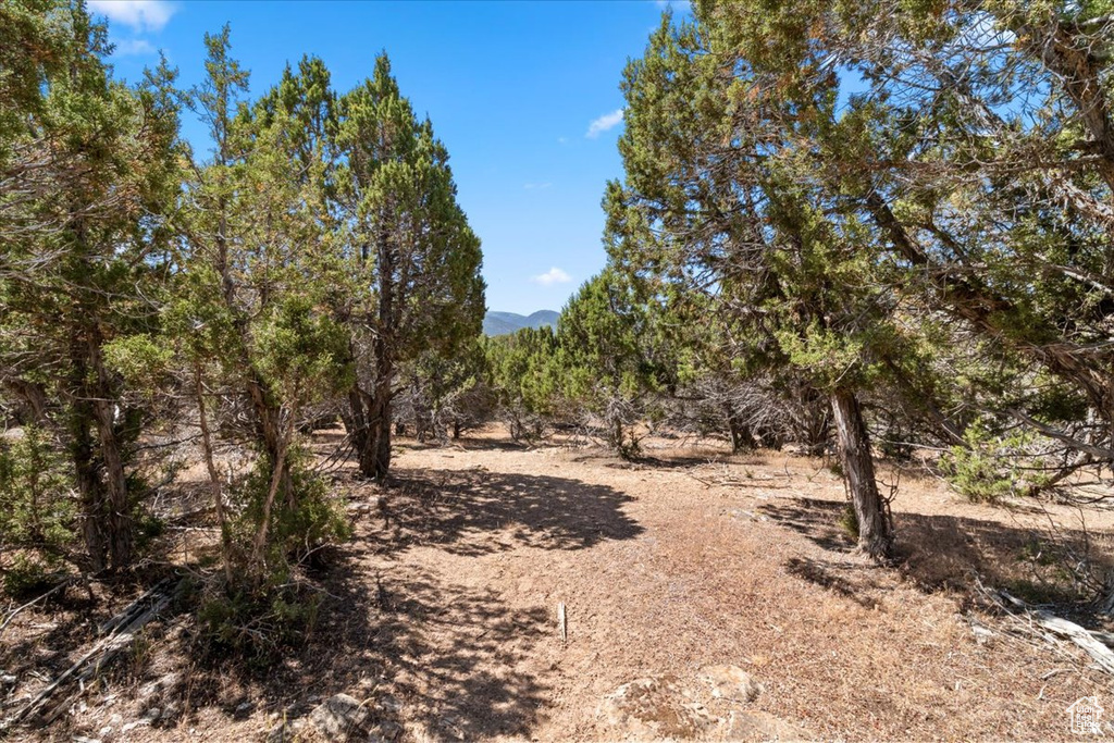 View of undeveloped land with mountains